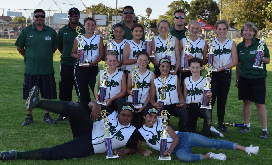 Valley Mesa Softball